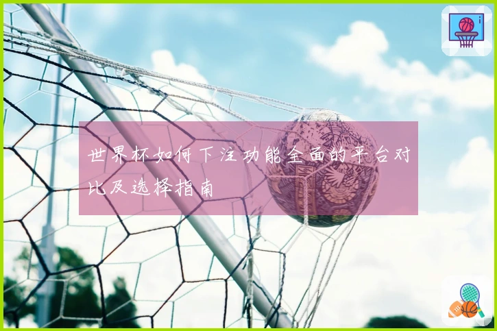世界杯如何下注功能全面的平台对比及选择指南