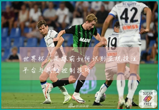 世界杯买足球前如何识别正规投注平台与风险控制技巧