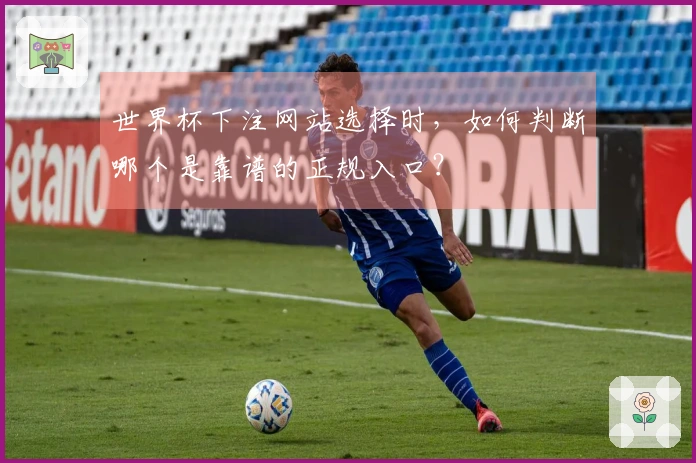 世界杯下注网站选择时，如何判断哪个是靠谱的正规入口？
