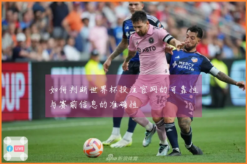 如何判断世界杯投注官网的可靠性与赛前信息的准确性
