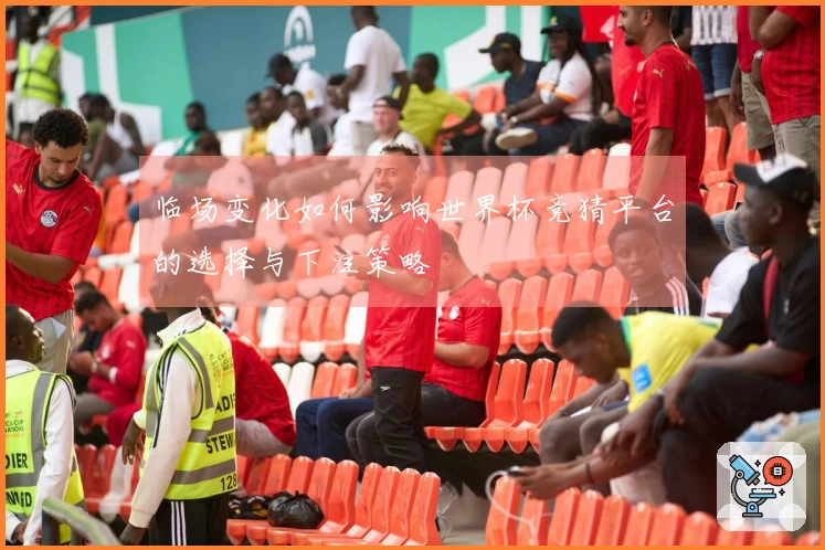 临场变化如何影响世界杯竞猜平台的选择与下注策略