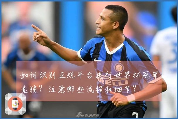 如何识别正规平台进行世界杯冠军竞猜？注意哪些流程和细节？