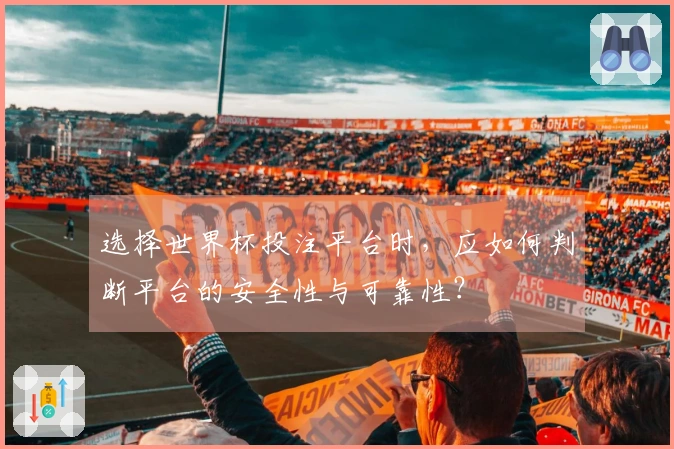 选择世界杯投注平台时，应如何判断平台的安全性与可靠性？
