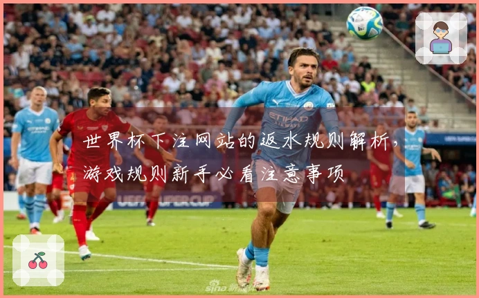 世界杯下注网站的返水规则解析，游戏规则新手必看注意事项