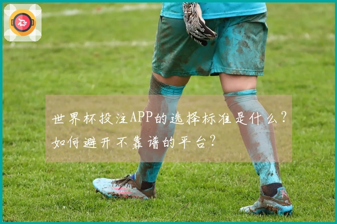 世界杯投注APP的选择标准是什么？如何避开不靠谱的平台？