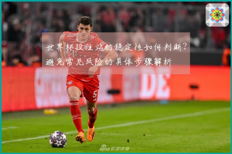 世界杯投注站的稳定性如何判断?避免常见风险的具体步骤解析