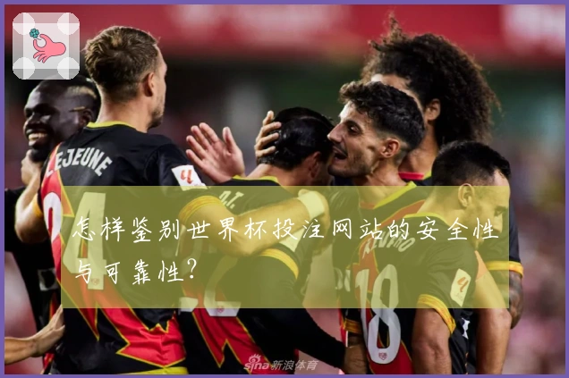 怎样鉴别世界杯投注网站的安全性与可靠性？