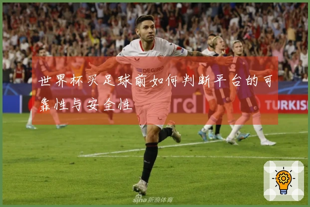世界杯买足球前如何判断平台的可靠性与安全性