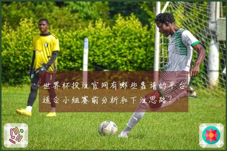 世界杯投注官网有哪些靠谱的平台适合小组赛前分析和下注思路？