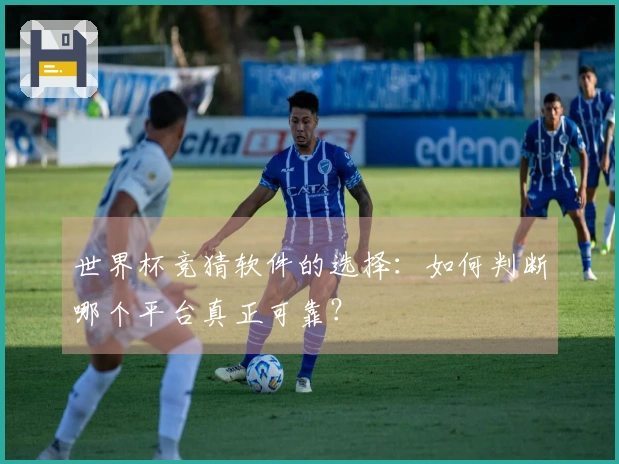 世界杯竞猜软件的选择：如何判断哪个平台真正可靠？