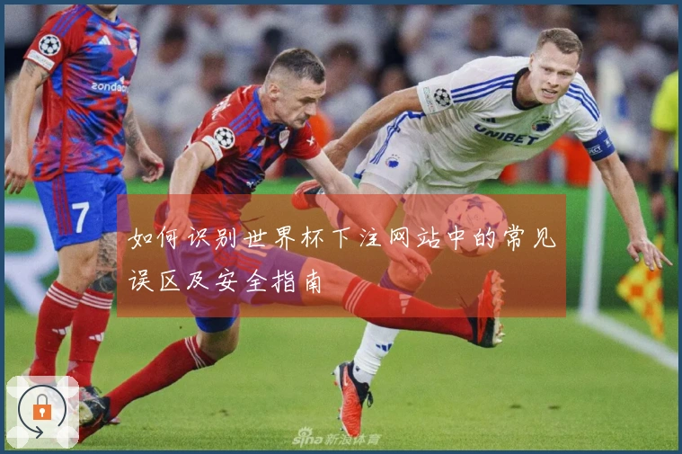 如何识别世界杯下注网站中的常见误区及安全指南