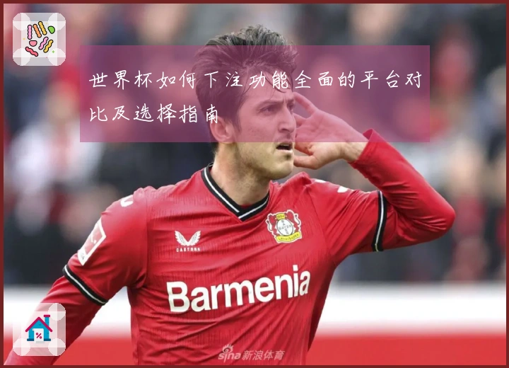 世界杯如何下注功能全面的平台对比及选择指南