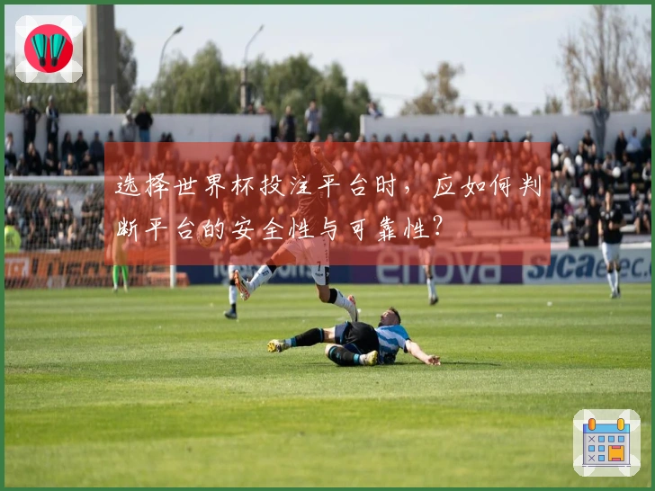 选择世界杯投注平台时，应如何判断平台的安全性与可靠性？