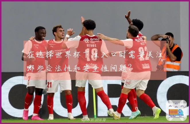 在选择世界杯下注入口时需要关注哪些合法性和安全性问题？