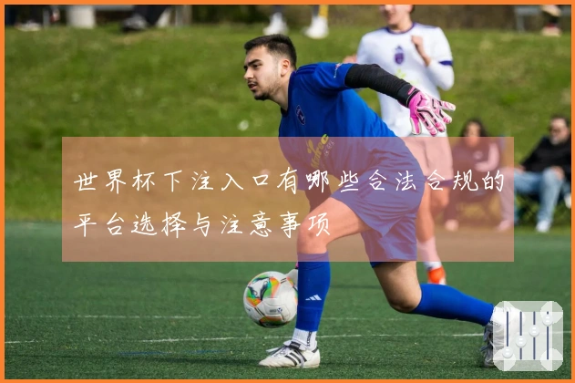 世界杯下注入口有哪些合法合规的平台选择与注意事项