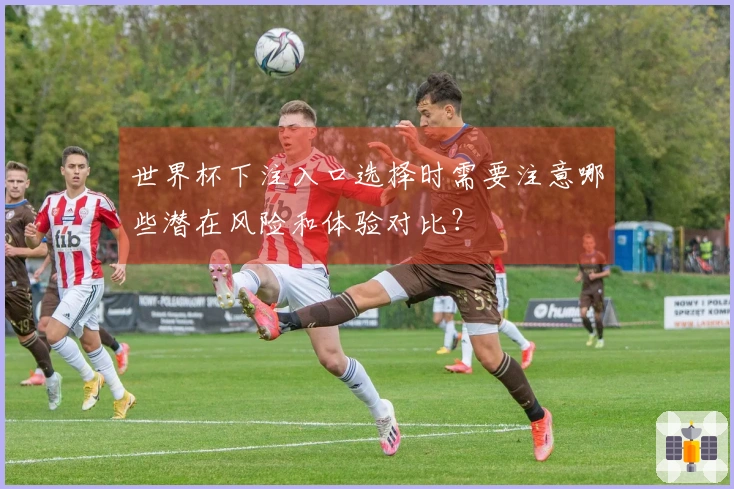 世界杯下注入口选择时需要注意哪些潜在风险和体验对比？