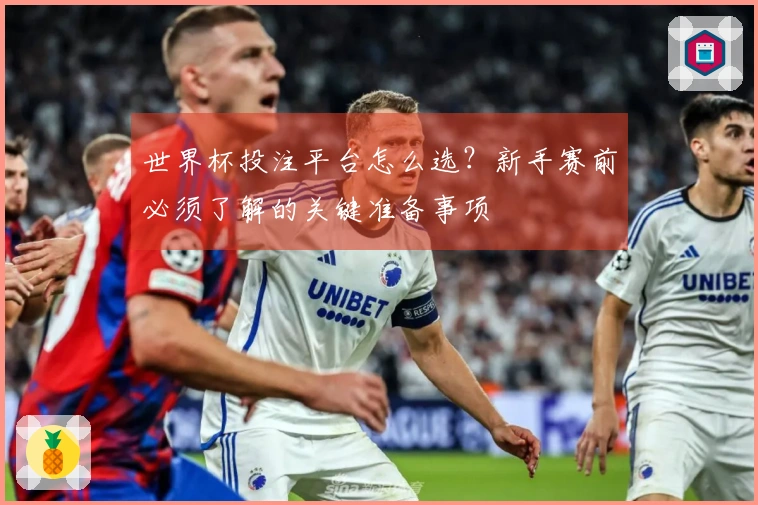 世界杯投注平台怎么选？新手赛前必须了解的关键准备事项