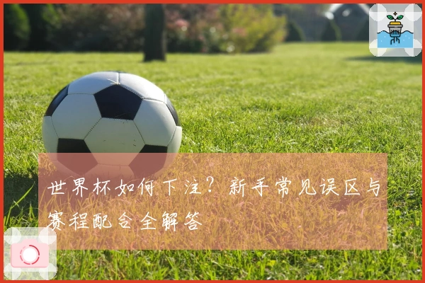 世界杯如何下注？新手常见误区与赛程配合全解答