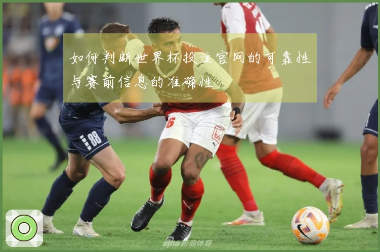 如何判断世界杯投注官网的可靠性与赛前信息的准确性
