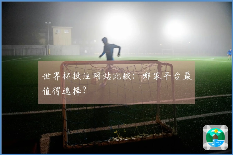 世界杯投注网站比较:哪家平台最值得选择?