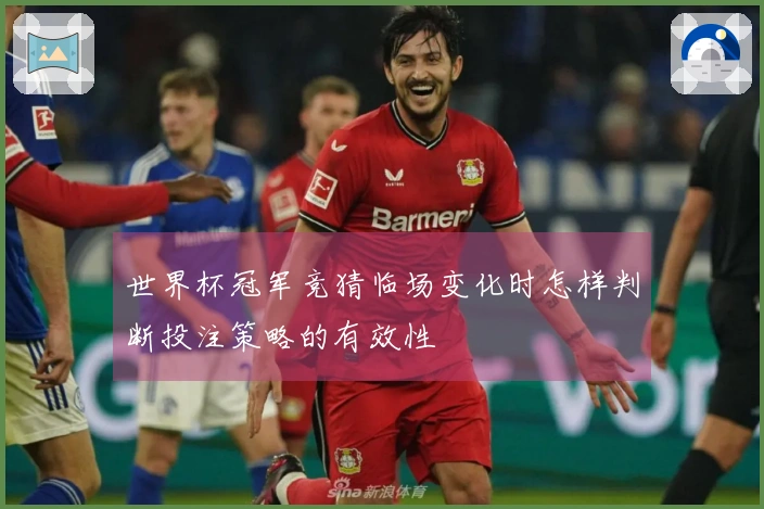 世界杯冠军竞猜临场变化时怎样判断投注策略的有效性