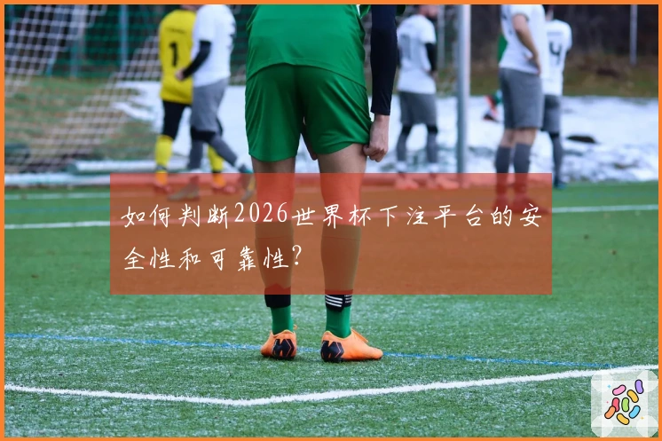 如何判断2026世界杯下注平台的安全性和可靠性？